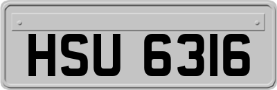 HSU6316