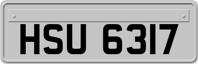HSU6317