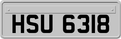 HSU6318