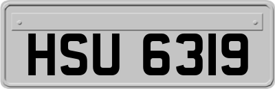 HSU6319