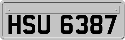 HSU6387