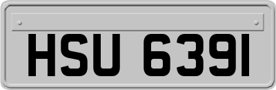 HSU6391