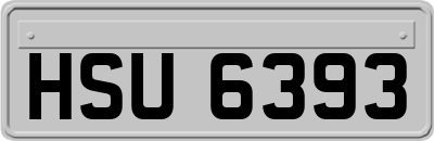 HSU6393