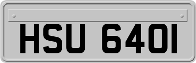 HSU6401