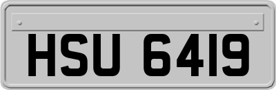 HSU6419