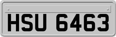 HSU6463