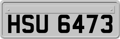 HSU6473