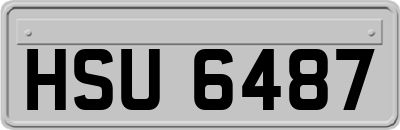 HSU6487