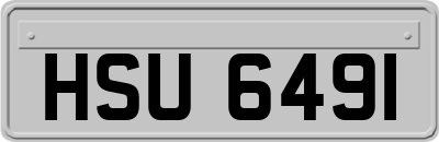 HSU6491