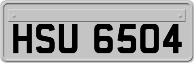 HSU6504