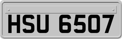 HSU6507