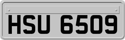 HSU6509