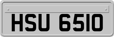 HSU6510