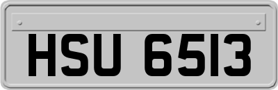 HSU6513