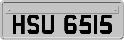 HSU6515