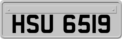 HSU6519