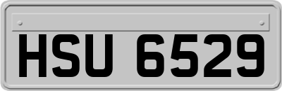 HSU6529