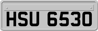 HSU6530