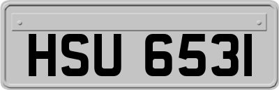 HSU6531