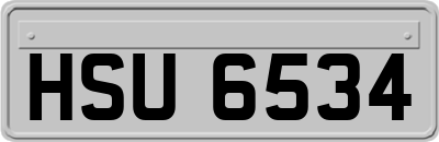 HSU6534