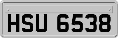 HSU6538