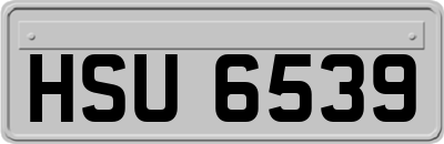 HSU6539
