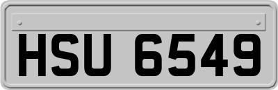 HSU6549