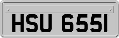 HSU6551