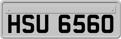 HSU6560