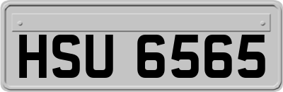 HSU6565