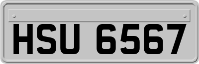 HSU6567