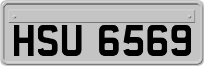 HSU6569