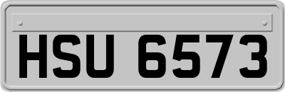 HSU6573