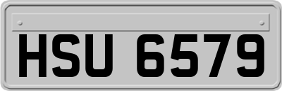HSU6579