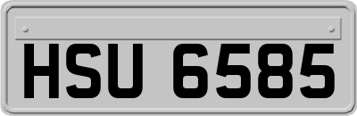 HSU6585