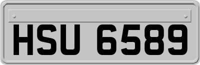 HSU6589