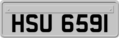 HSU6591