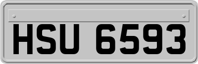 HSU6593