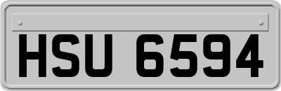 HSU6594