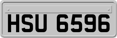 HSU6596