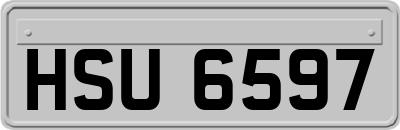 HSU6597