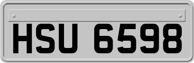 HSU6598