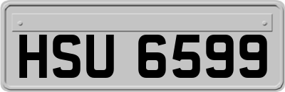 HSU6599