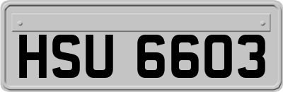 HSU6603