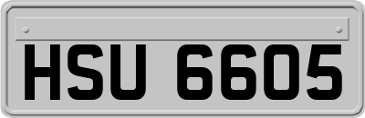 HSU6605