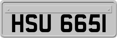 HSU6651