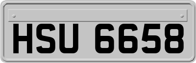 HSU6658