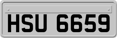 HSU6659