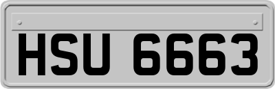 HSU6663