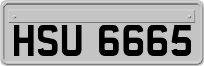 HSU6665